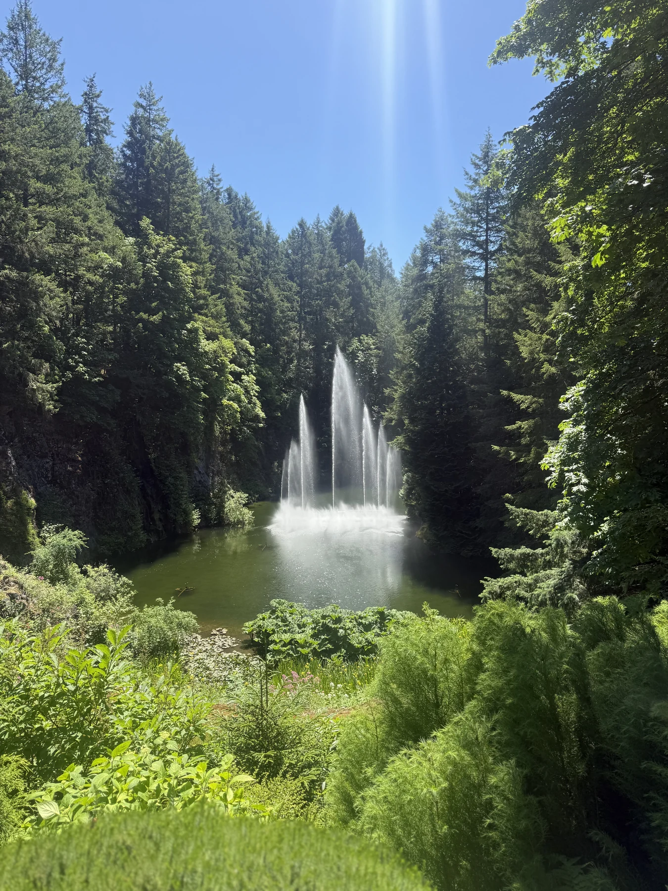 The fountain and gardens at Butchart Gardens