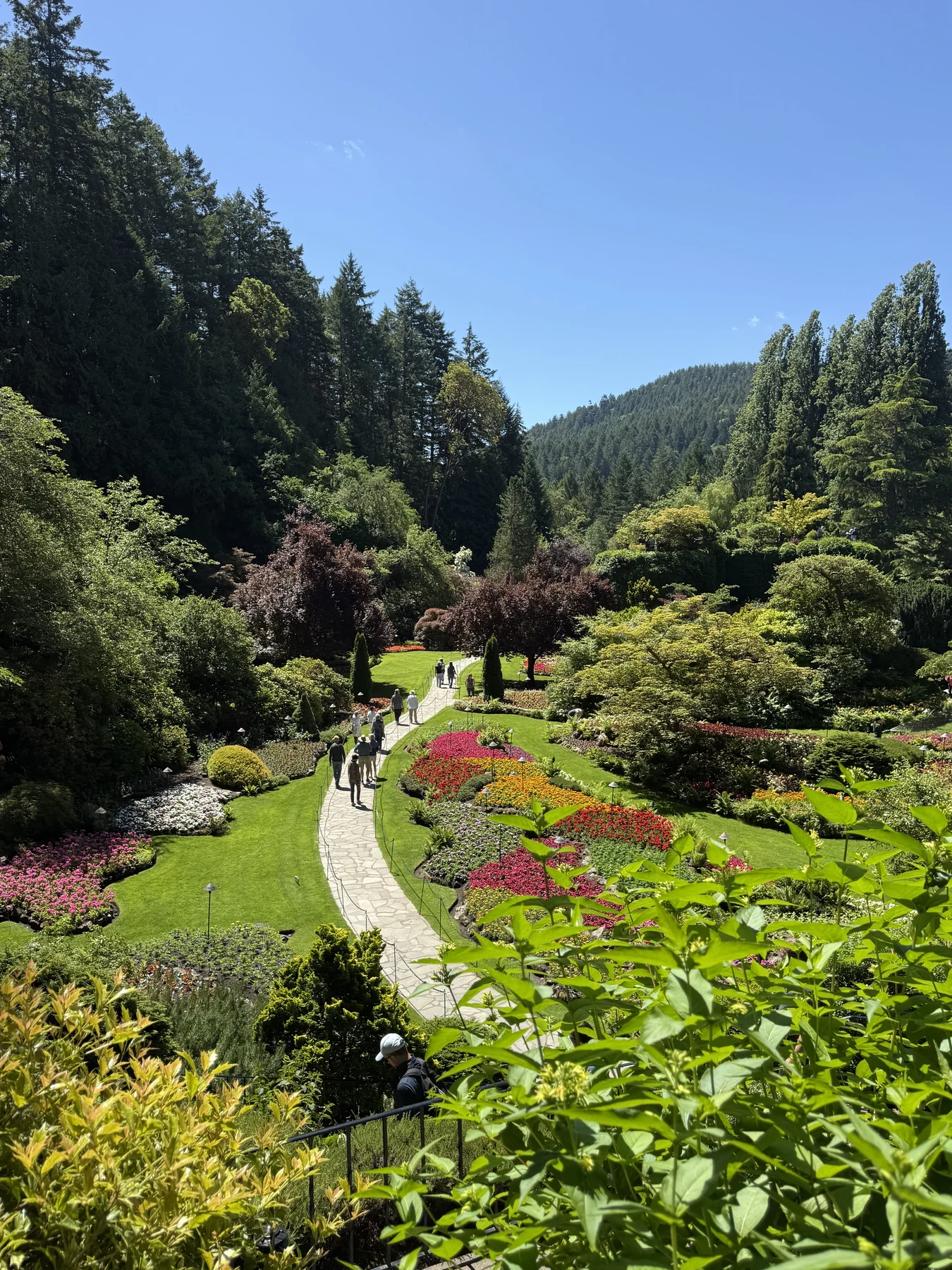 A landscaped garden at Butchart Gardens