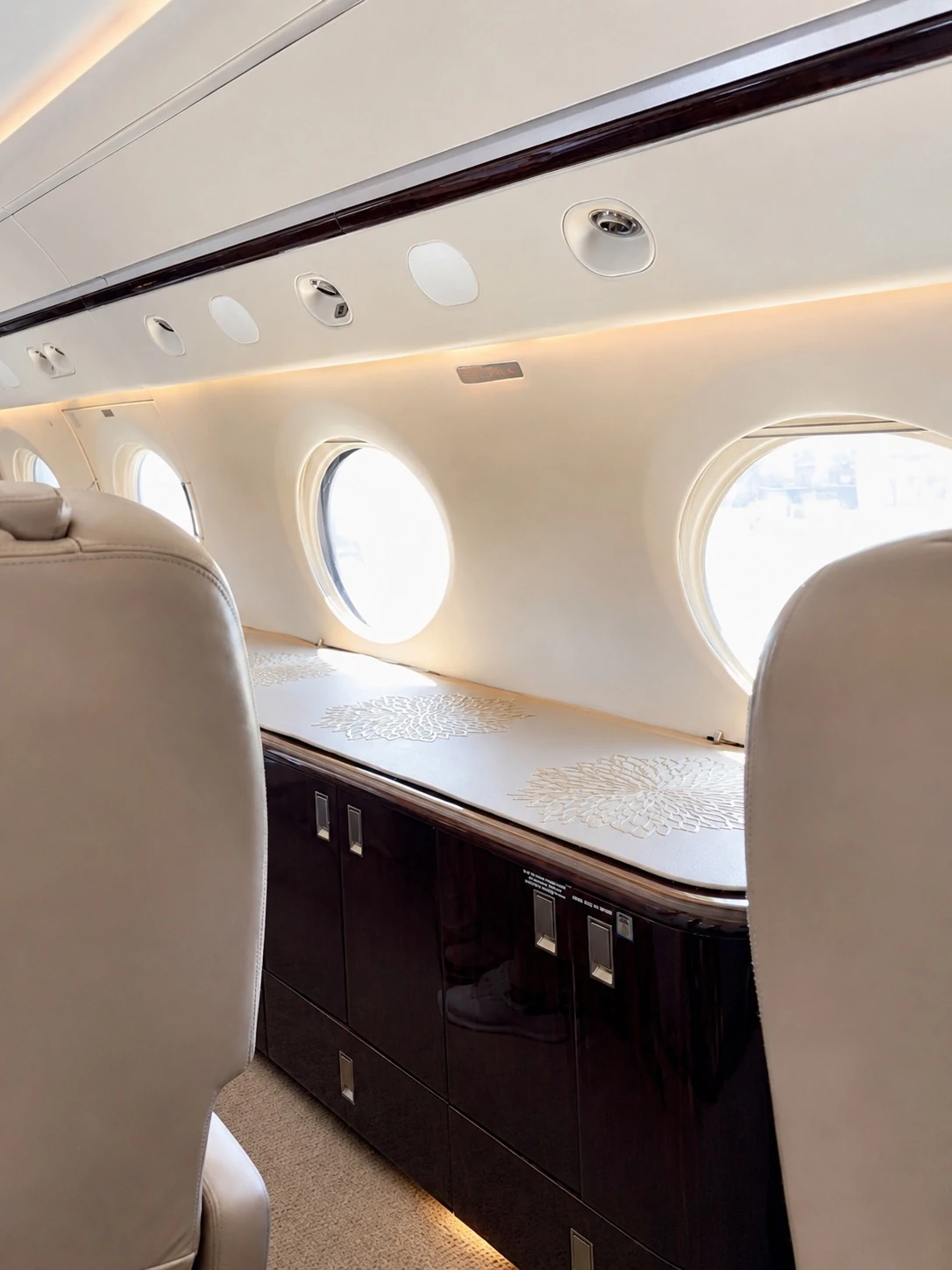 Private aircraft interior during a Canada family trip