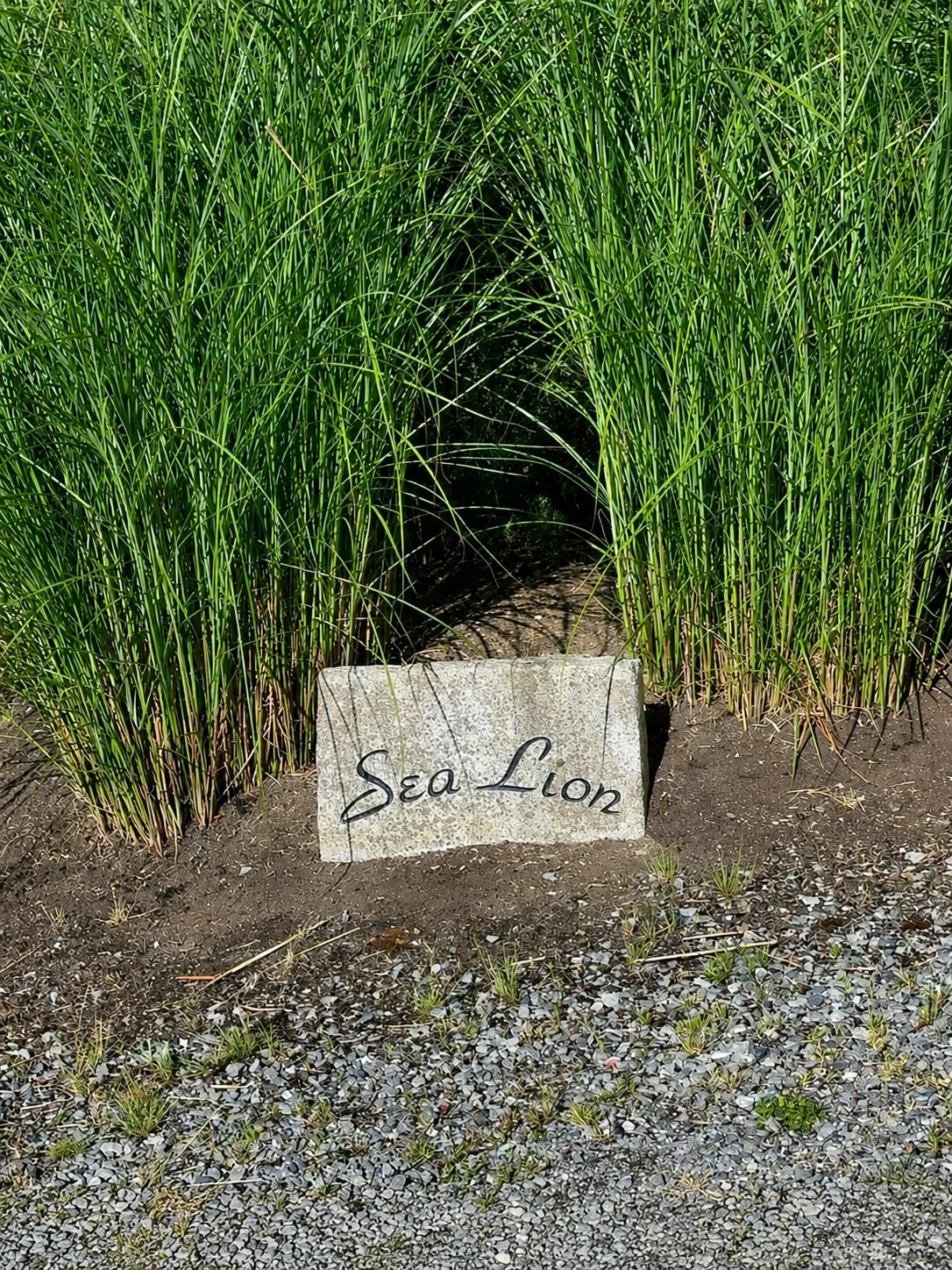 The Sea Lion estate sign tucked into tall grass