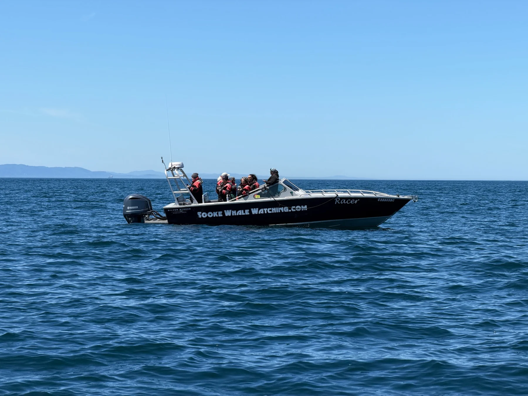 A whale-watching boat on the water