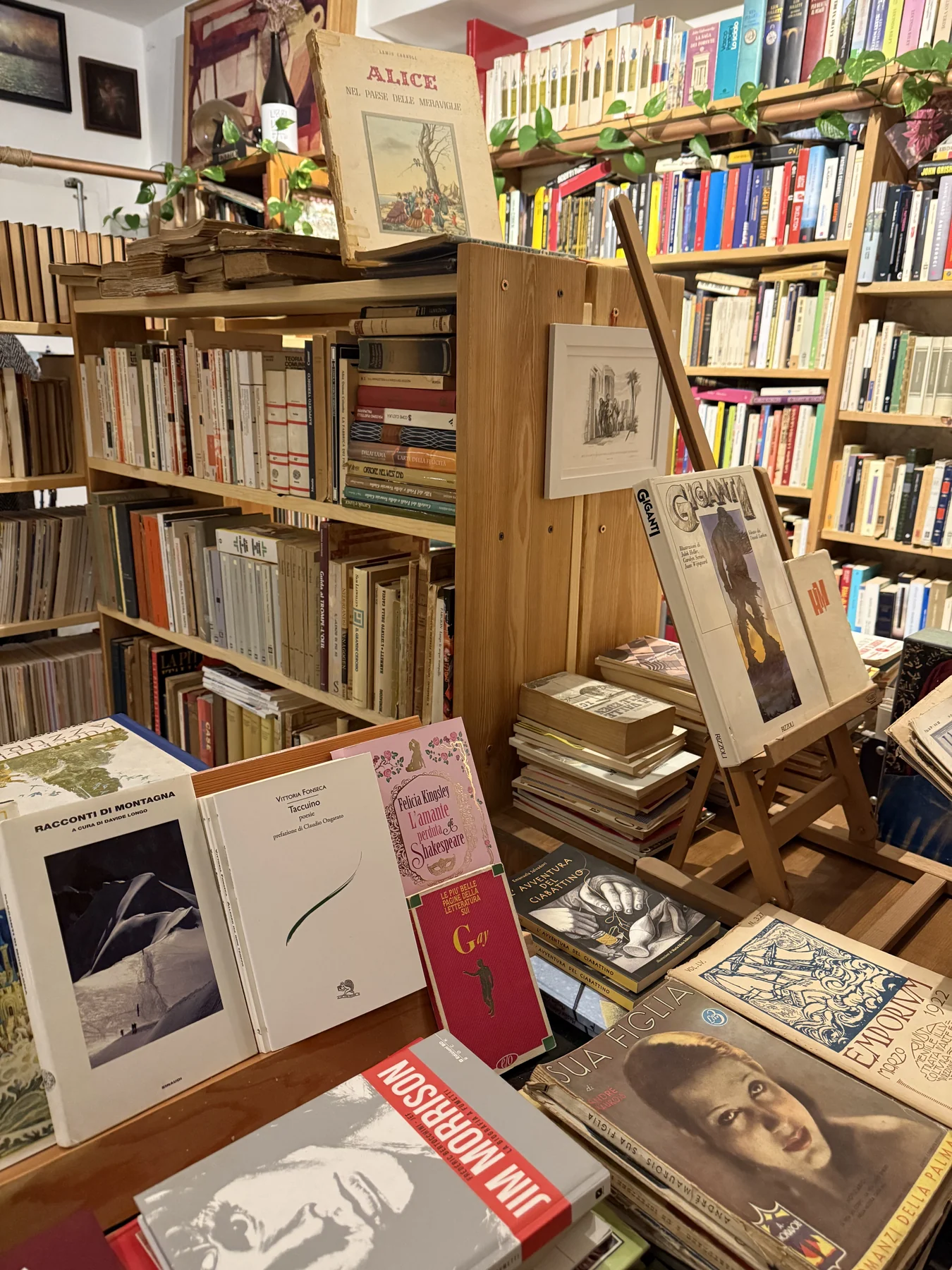 A bookstore in Venice