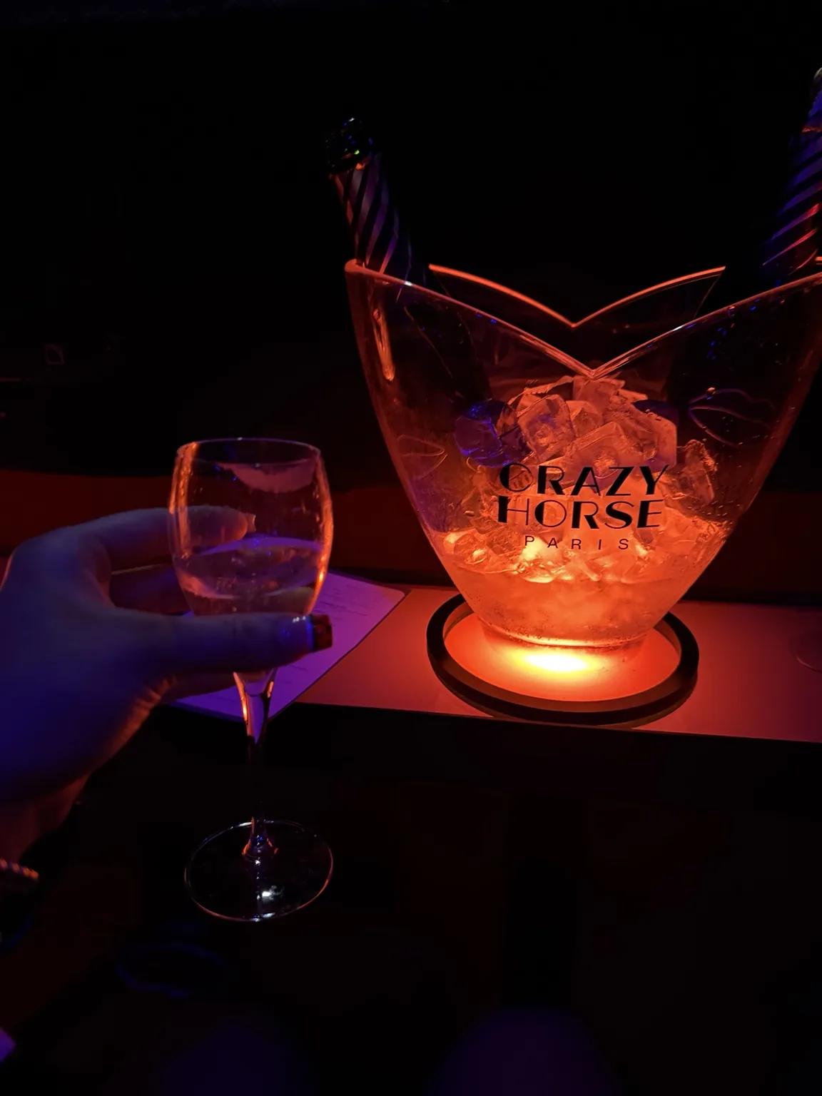 Crazy Horse cabaret experience in Paris, France